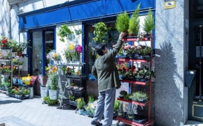 PROTECCIÓN DE DATOS MULTA A LA CÁMARA DE COMERCIO CON MEDIO MILLÓN DE EUROS POR ABUSO DE DATOS DE AUTÓNOMOS